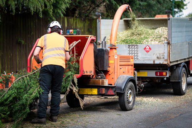 Best Artificial Turf Installation  in Greentown, OH